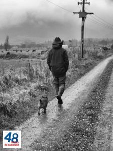 dawn-allen-Good Mates